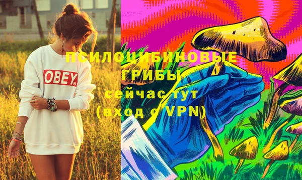 mdma Зеленокумск